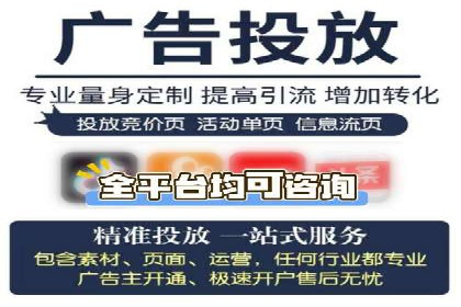 行业领先的SEM投放效果案例解析